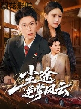 尘途逆掌风云